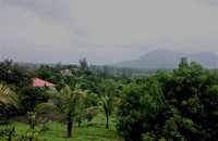 Attra's Holiday & Camping Farm - Karjat - Farm Photos